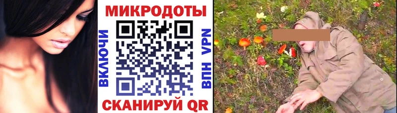 кракен рабочий сайт  Полярные Зори  Галлюциногенные грибы прущие грибы  купить закладку 