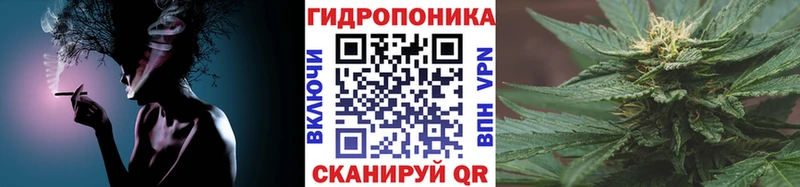 Шишки марихуана Ganja  как найти   Полярные Зори 